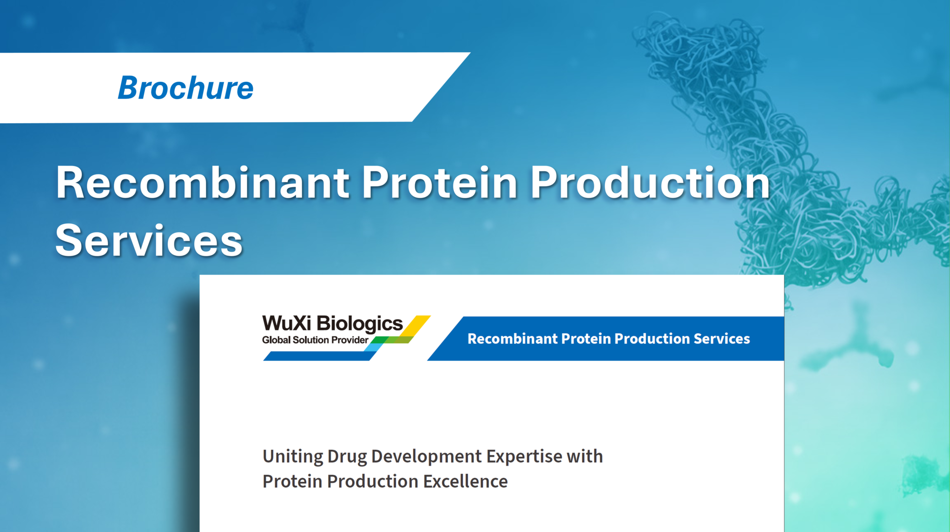 WuXi Biologics' transient and stable pool recombinant protein production services for efficient protein expression and development.