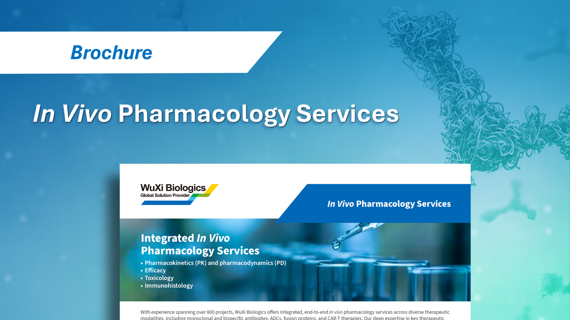WuXi Biologics' In Vivo Pharmacology Services, featuring integrated in vivo pharmacology support for preclinical research.