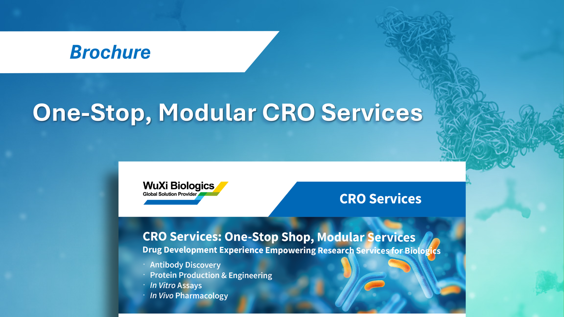 WuXi Biologics' One-Stop, Modular CRO Services, featuring integrated drug development support from discovery to in vivo pharmacology.