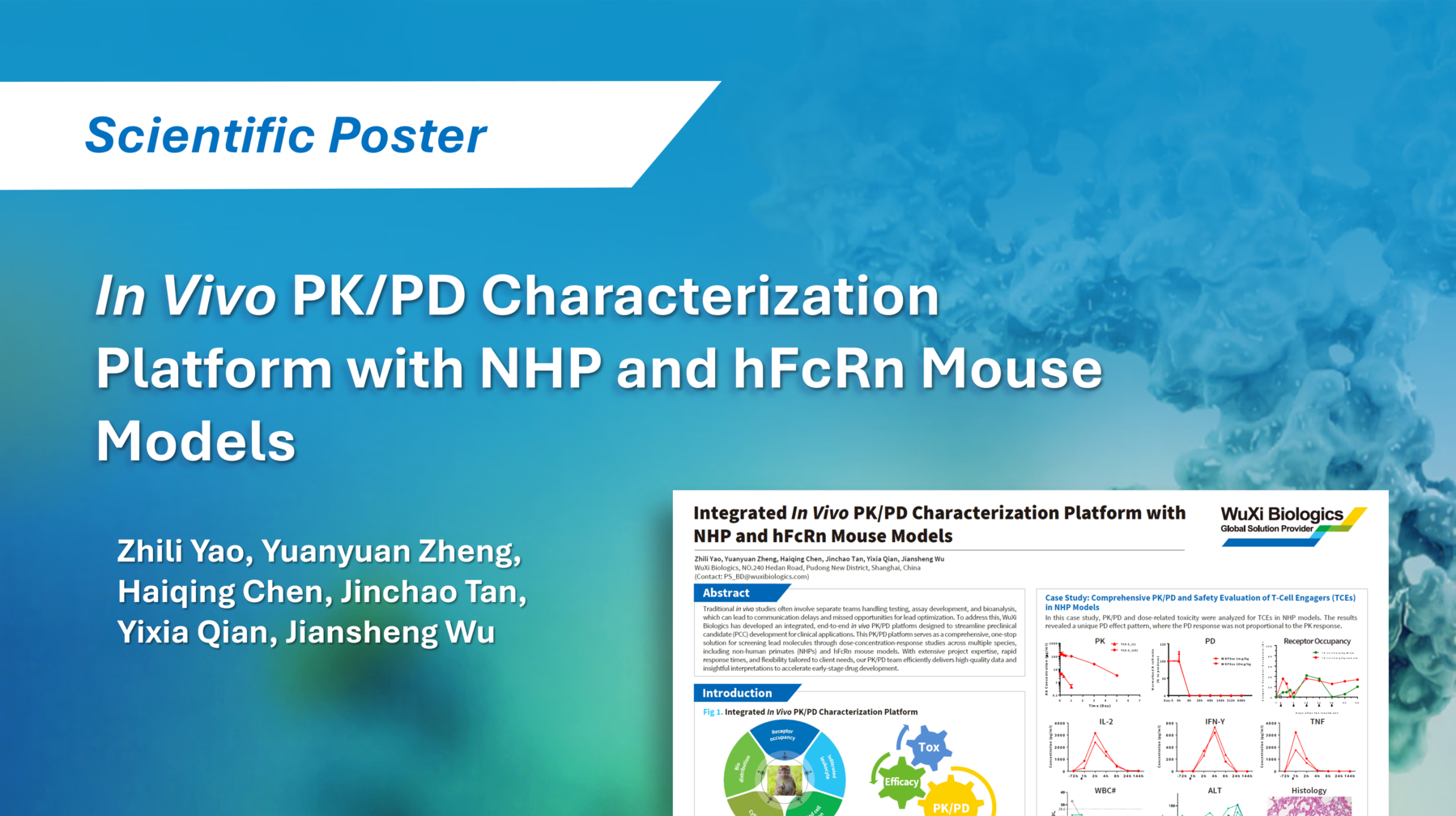 Scientific poster summarizing WuXi Biologics’ in vivo PK/PD platform using NHP and hFcRn mouse models to evaluate ADC, TCE, and Fc engineering molecules