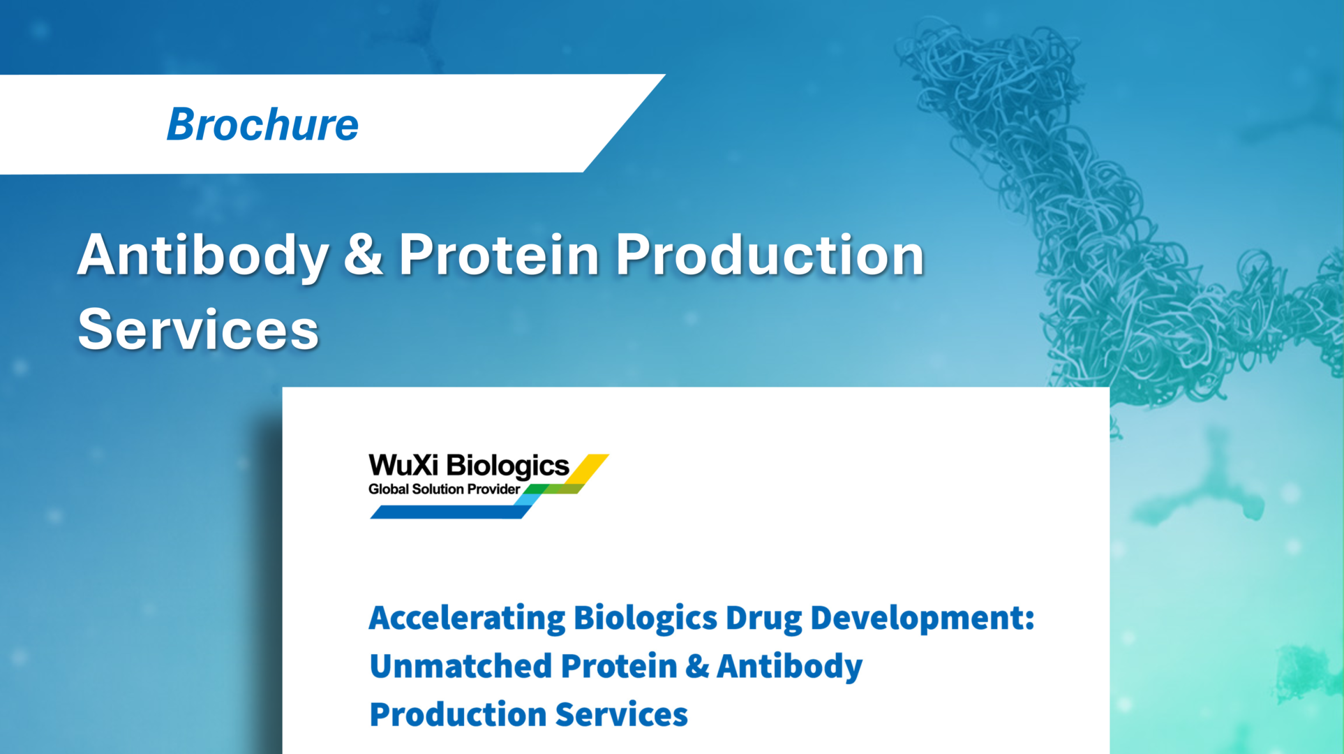 WuXi Biologics' Protein Sciences recombinant protein and antibody production services, highlighting drug development expertise and protein production excellence.