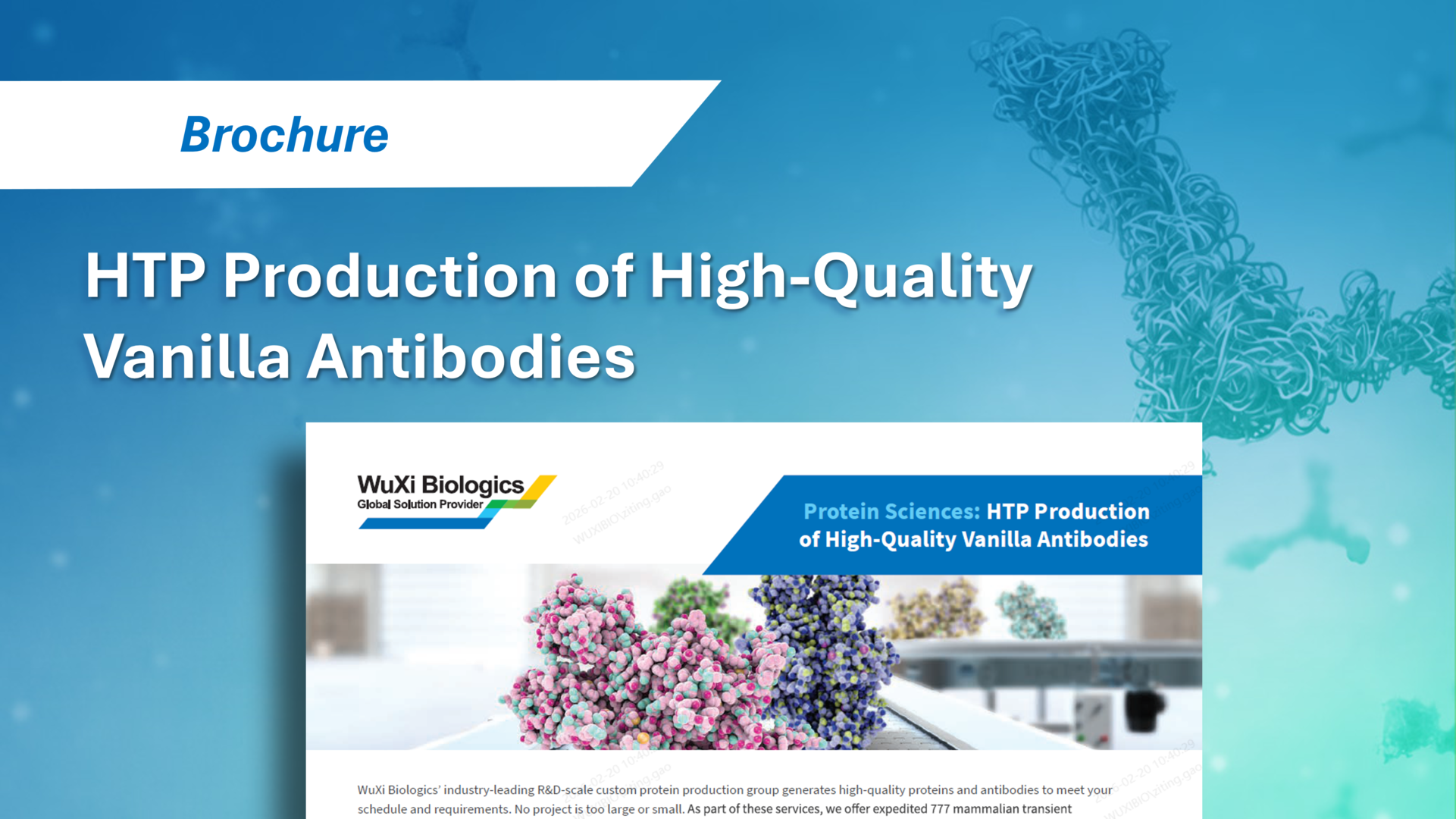 WuXi Biologics' high-throughput production of high-quality vanilla antibodies for research and discovery applications.