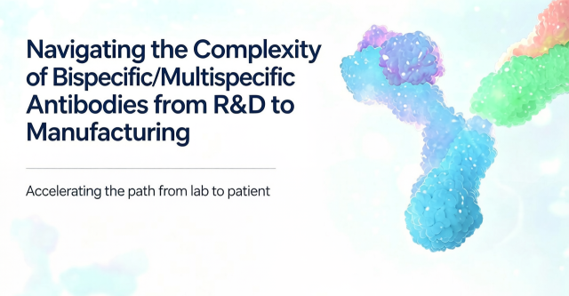 Navigating the Complexity of Bispecific/Multispecific Antibodies from R&D to Manufacturing – Accelerating the Path from Lab to Patient