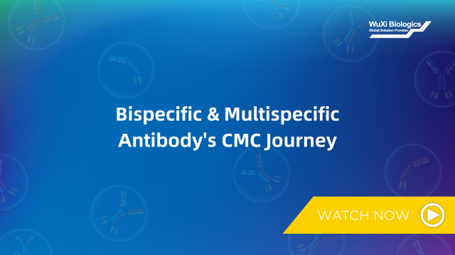 Bispecific and multi-specific antibody development journey at WuXi Biologics