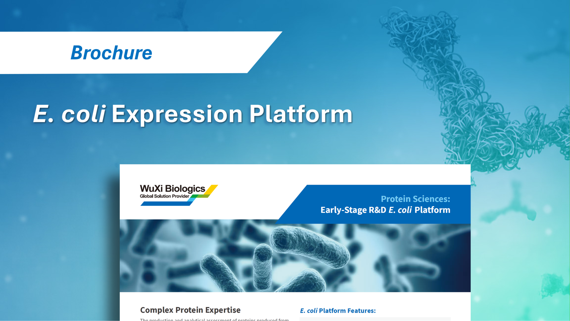 WuXi Biologics' E. coli Expression Platform, featuring early-stage R&D services for recombinant protein expression in E. coli.