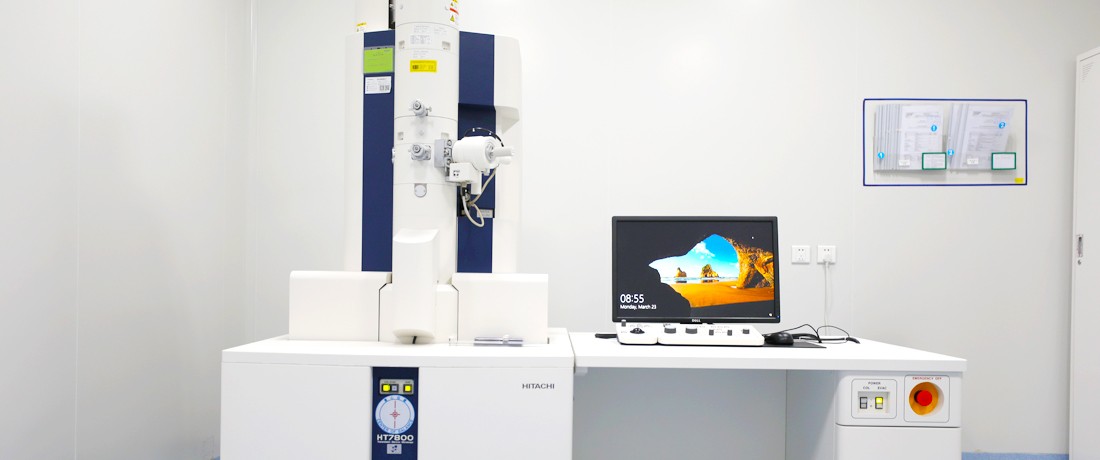 Biosafety Testing Service Overview