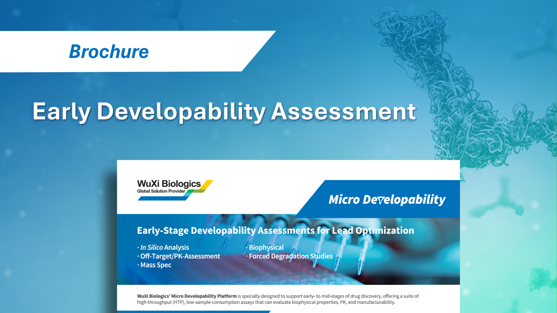 WuXi Biologics' Early Developability Assessment services, supporting lead optimization with early-stage developability evaluation.