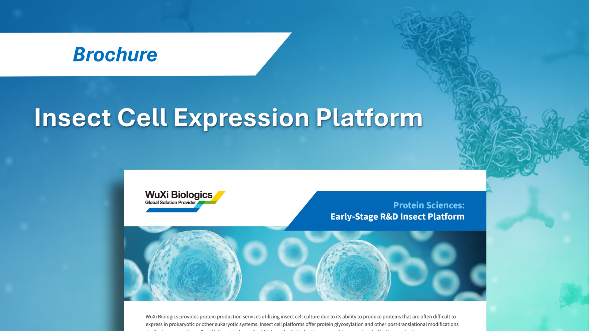 WuXi Biologics' Insect Cell Expression Platform, highlighting early-stage R&D insect cell-based protein expression services.