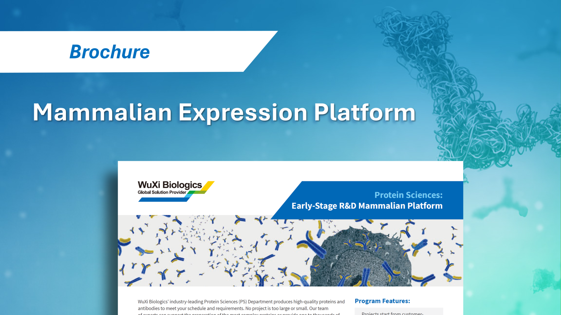 WuXi Biologics' Mammalian Expression Platform, highlighting early-stage R&D mammalian protein expression services.