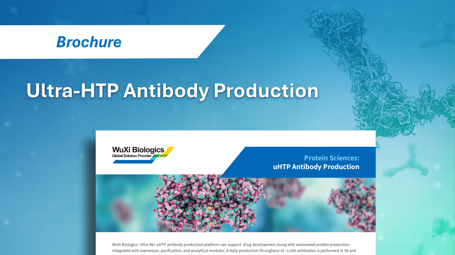 WuXi Biologics' ultra-high-throughput antibody production services, designed for rapid antibody generation at scale.