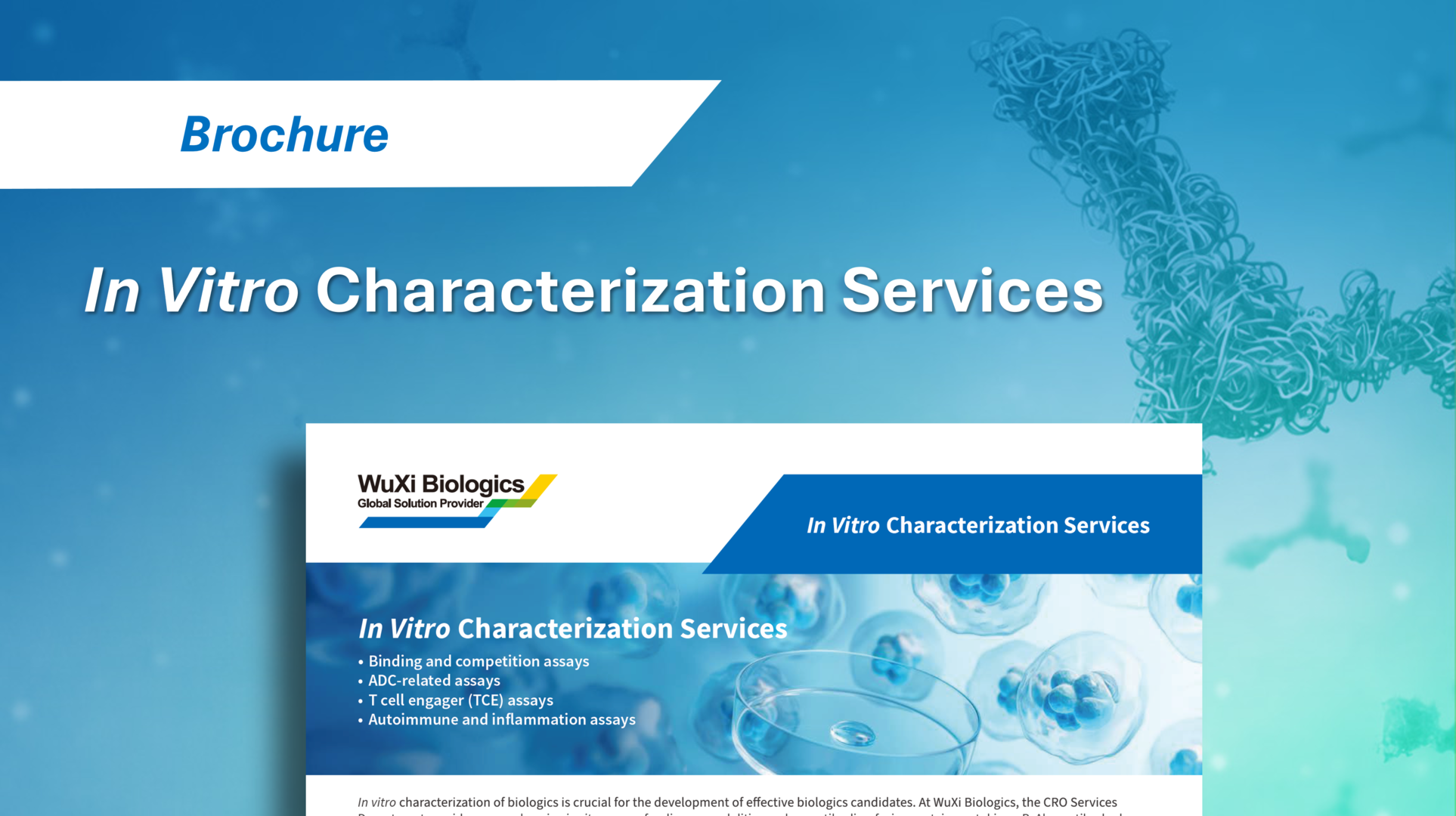 WuXi Biologics' In Vitro Characterization Services, highlighting in vitro assays for protein and biologics evaluation.