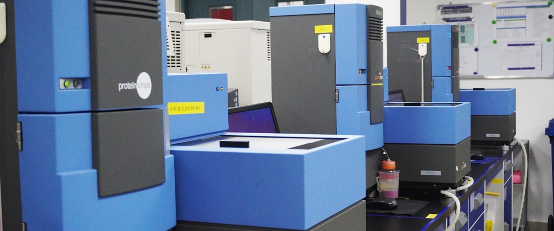 Analytical Development-1