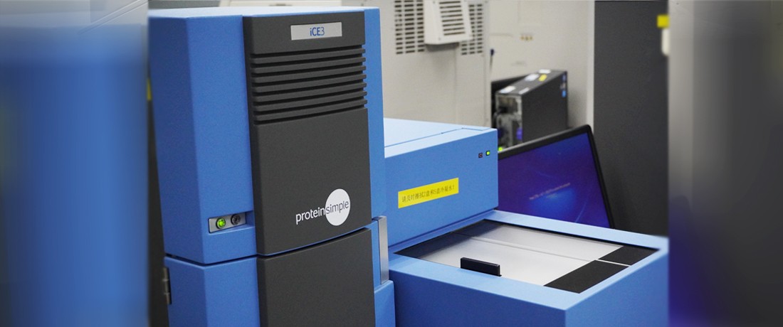 Analytical Development-2