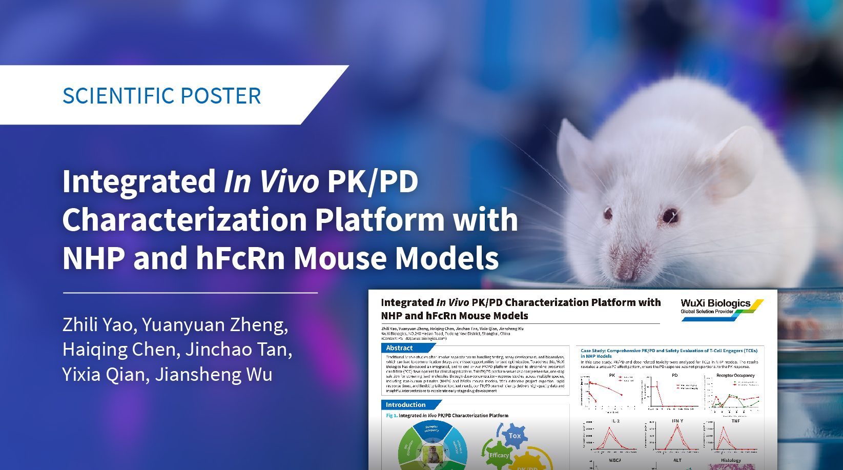 Scientific poster summarizing WuXi Biologics’ in vivo PK/PD platform using NHP and hFcRn mouse models to evaluate ADC, TCE, and Fc engineering molecules