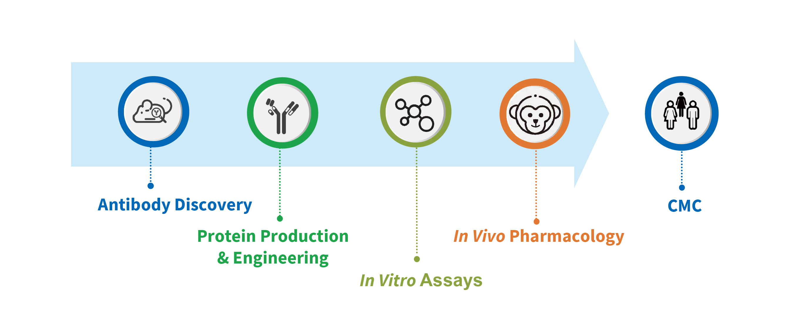 WuXi Biologics offers one-stop shop modular CRO services, including antibody discovery, protein production and engineering, in vitro assays and in vivo pharmacology for biologics discovery and development.
