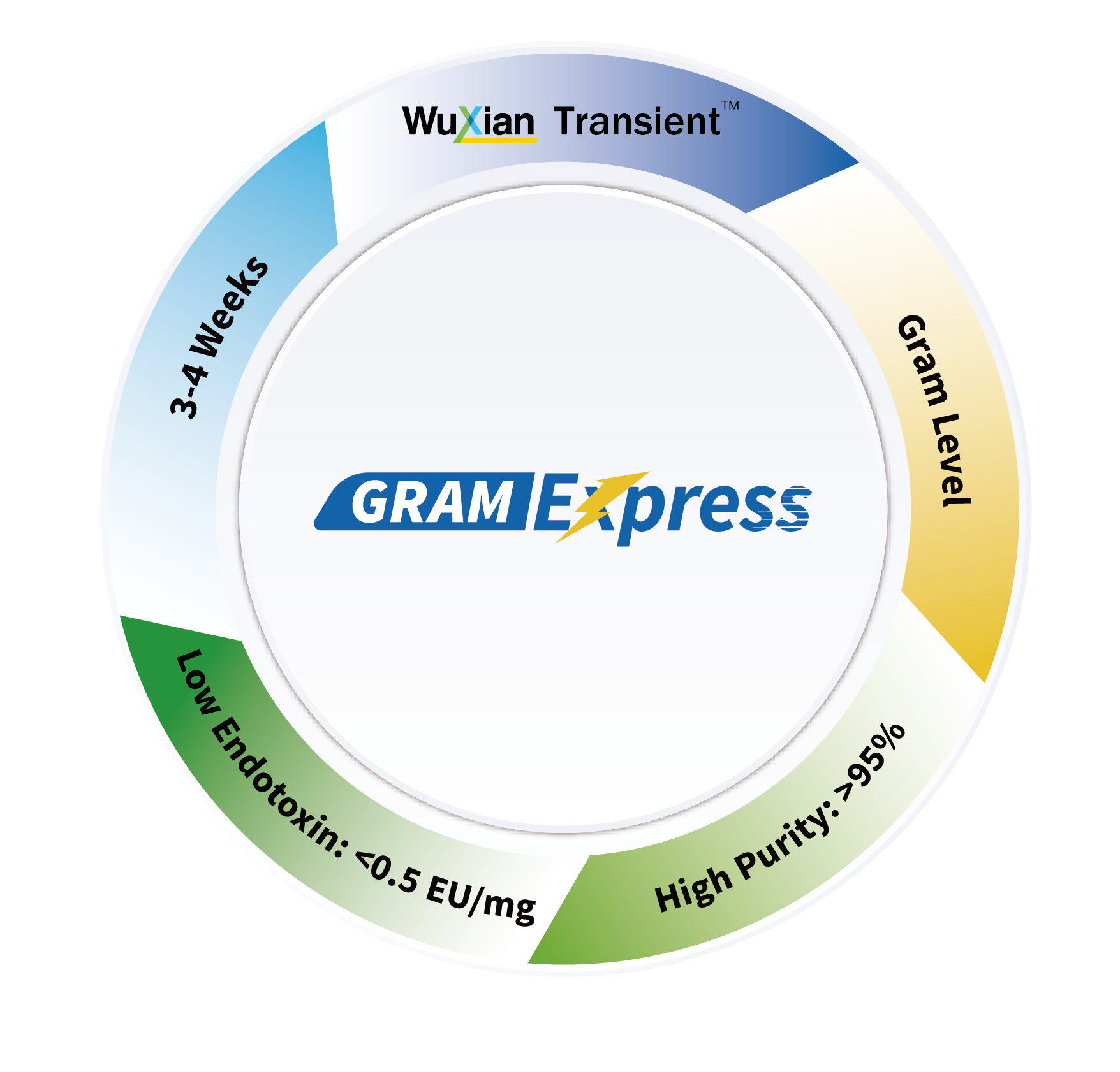 GramExpress antibody production services provide gram-level yield, >95% purity,