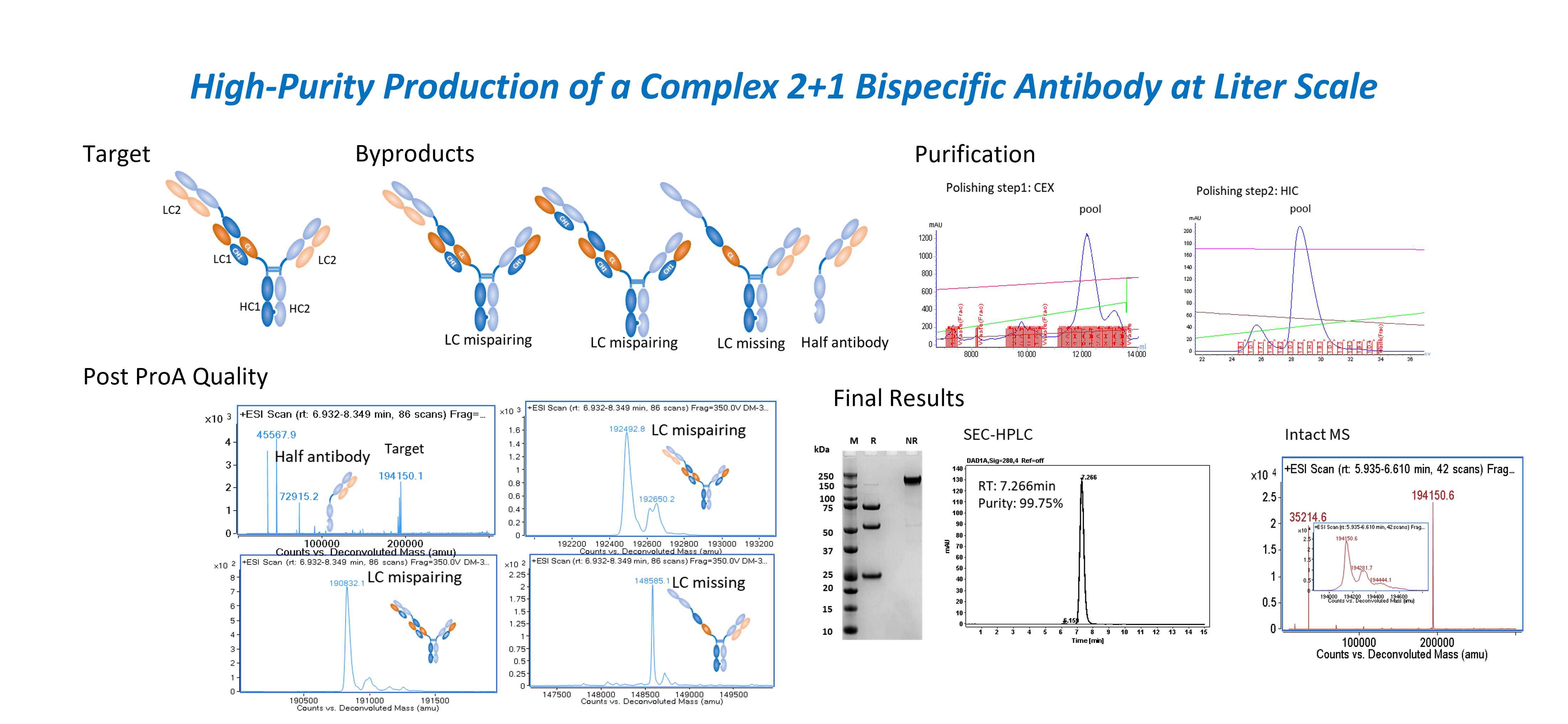 A complex 2+1 bispecific antibody showing multiple LC mispairing and half-antibody byproducts after Protein A, followed by CEX-HIC purification and LC-MS-guided polishing to achieve high heterodimer purity at 5 L transient scale.