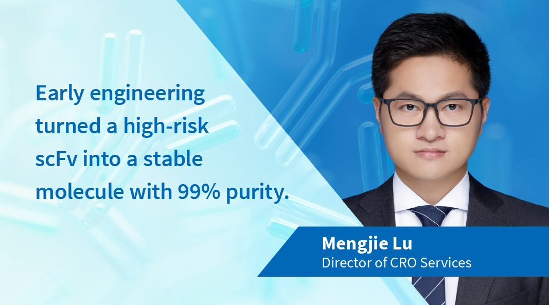 Mengjie shares insights on overcoming scFv stability challenges by introducing a disulfide bond.
