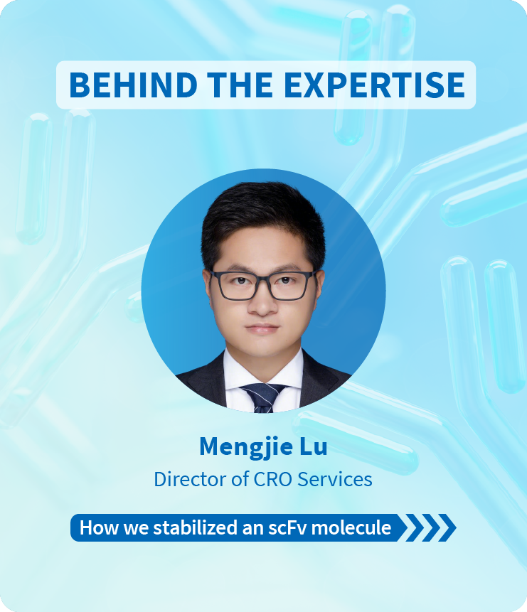 Mengjie shares insights on overcoming scFv stability challenges by introducing a disulfide bond.