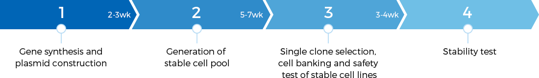 Target cell line generation