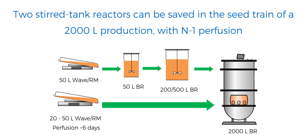 Two stirred-tank reactors can be saved in the seed train of 2000 L production, with N-1 perfusion