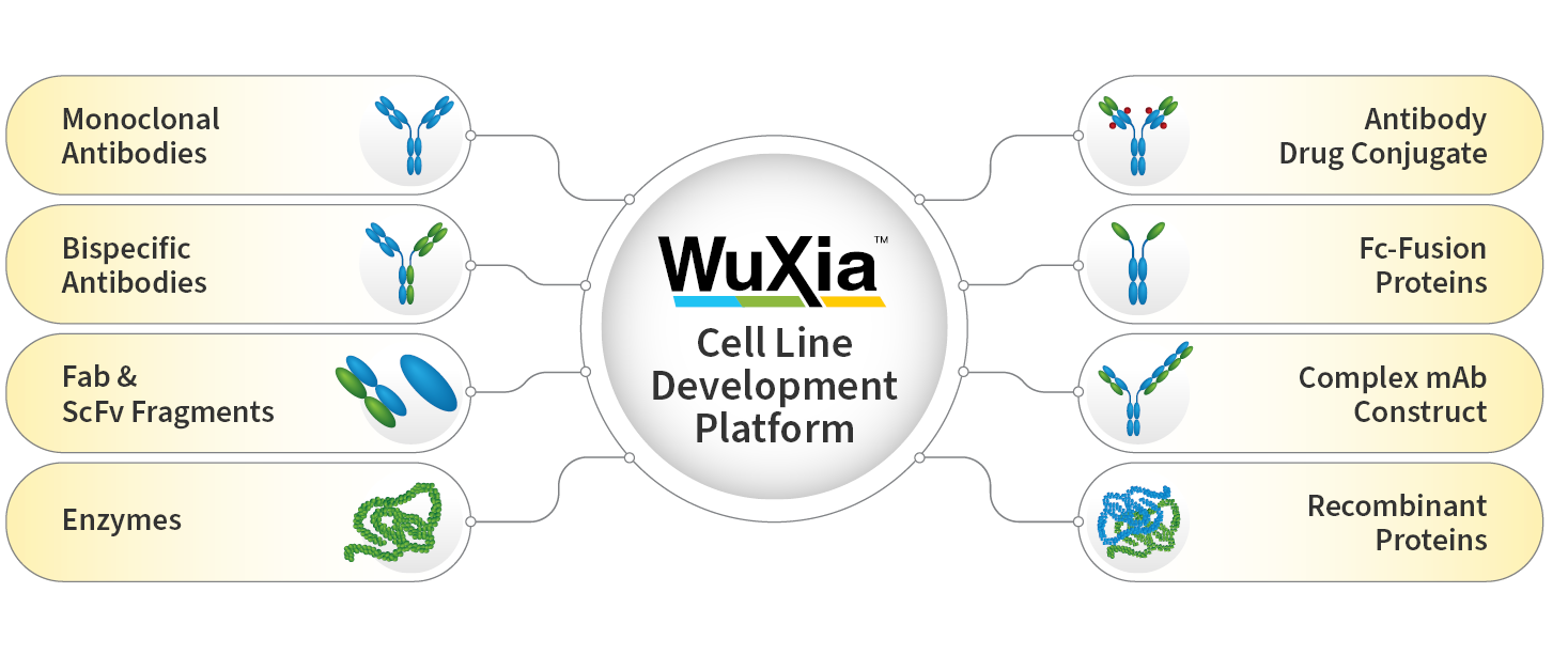 WuXia CLD Platform Versatility