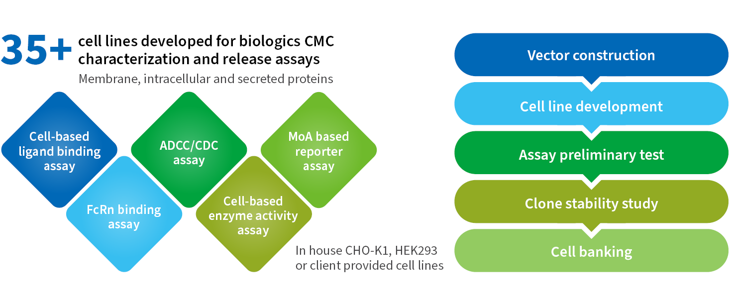 WuXi Biologics Reagent and Bioassay Cell Lines to support Analytical Programs