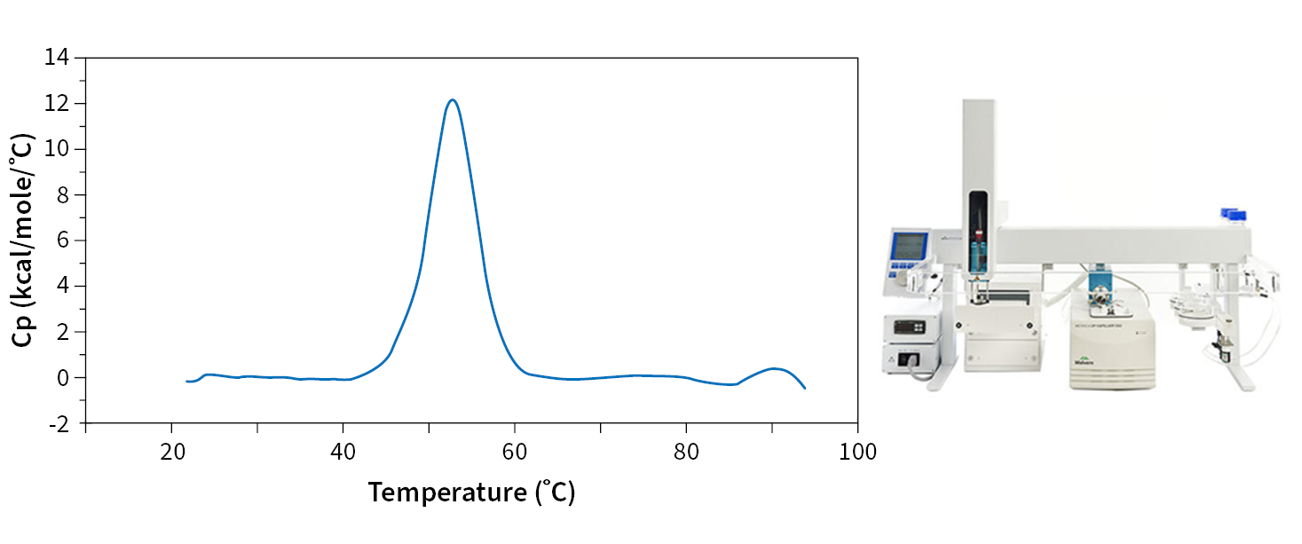 WuXi Biologics Characterization of protein thermal stability.