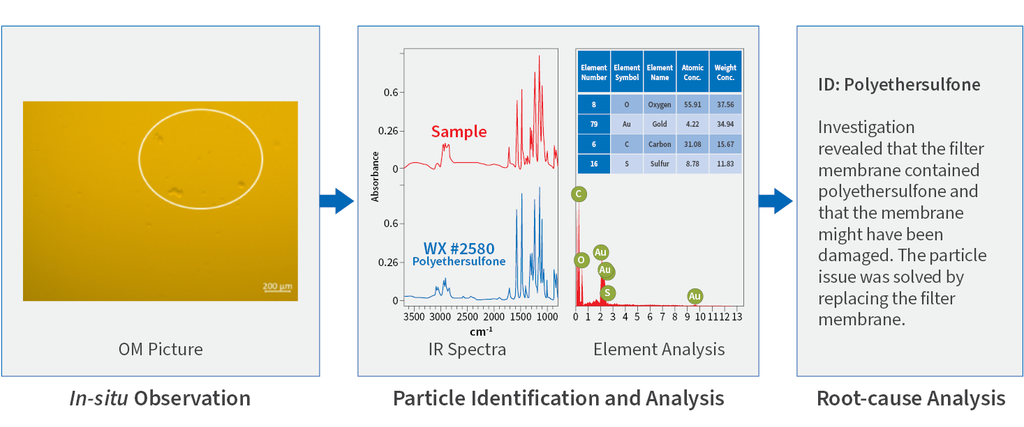 WuXi Biologics Forensic Analysis Case Study 2: Unexpected events in manufacturing : flake-like particles observed in DP products
