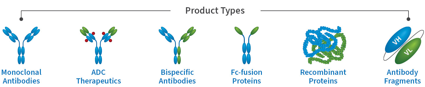 Product Types Purified by DSPD