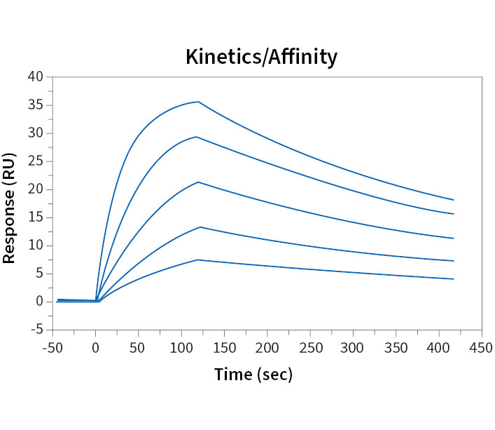 Showcase an analyte with high affinity to its target with SPR assays.