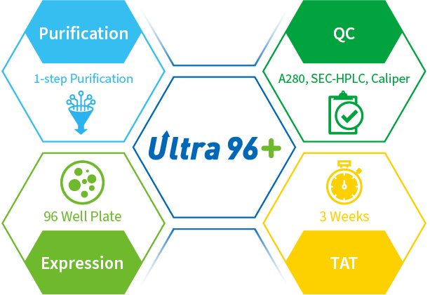 Ultra 96+ is a fast and cost-effective antibody production platform that can produce hundreds to thousands of antibodies in just 3 weeks.