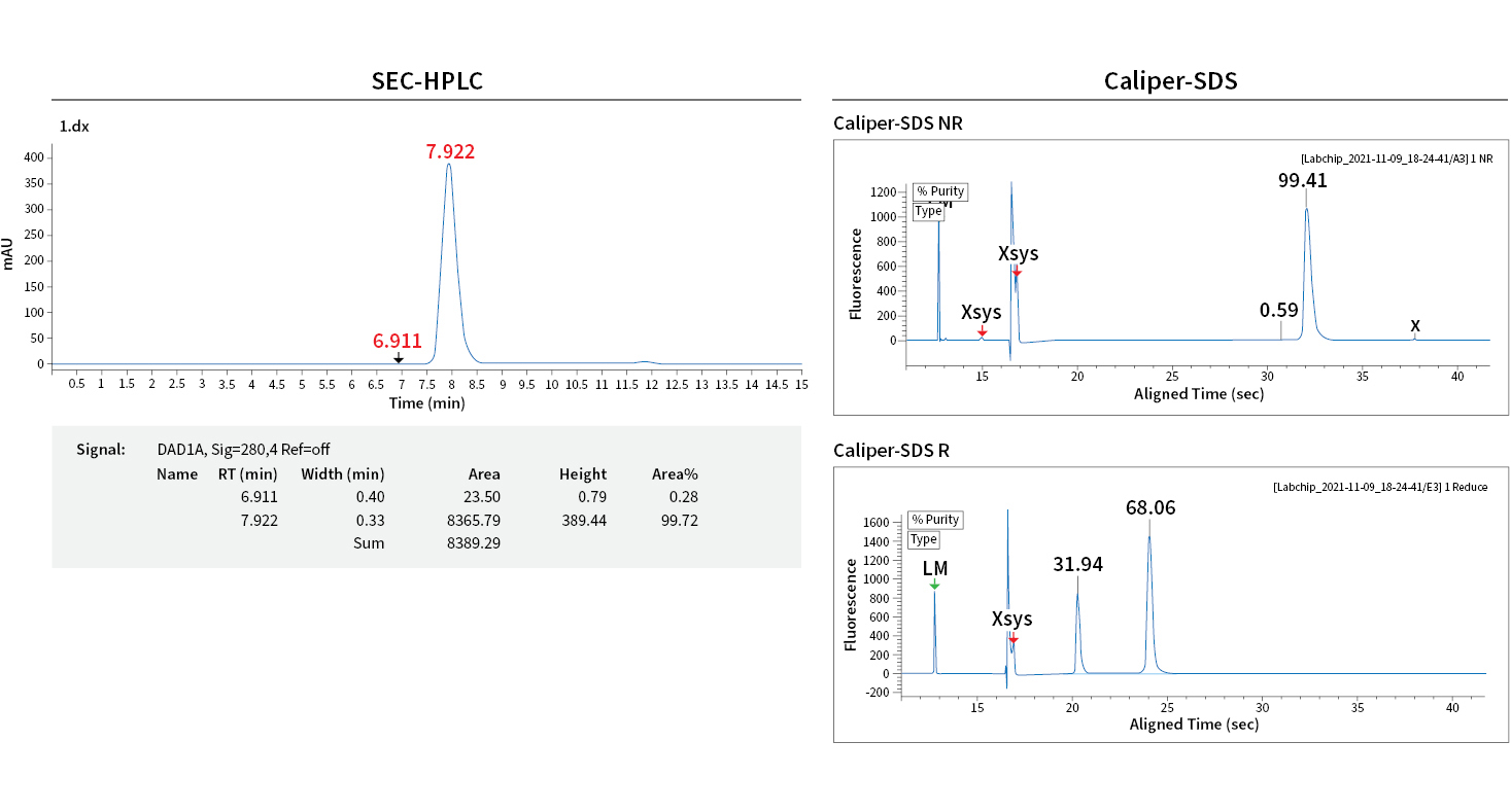 These EC-HPLC and Caliper-SDS data highlight the extremely high purity of monoclonal antibodies produced using the 7-7-7 platform.
