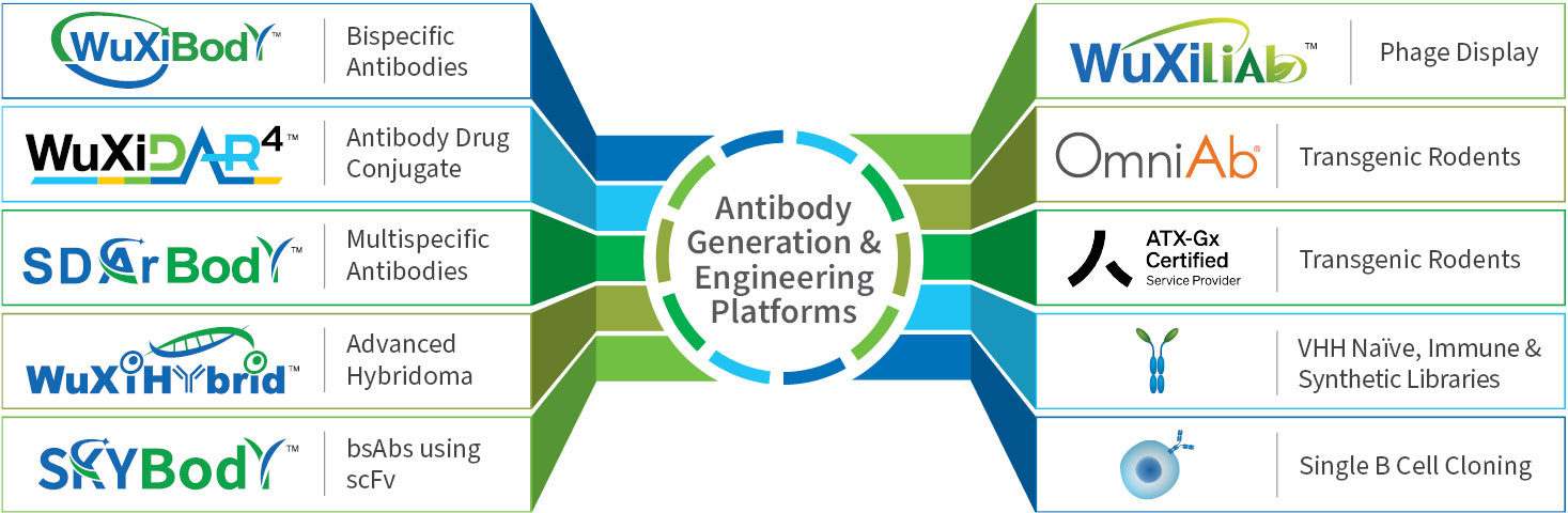 WuXi Biologics antibody engineering and generation platforms