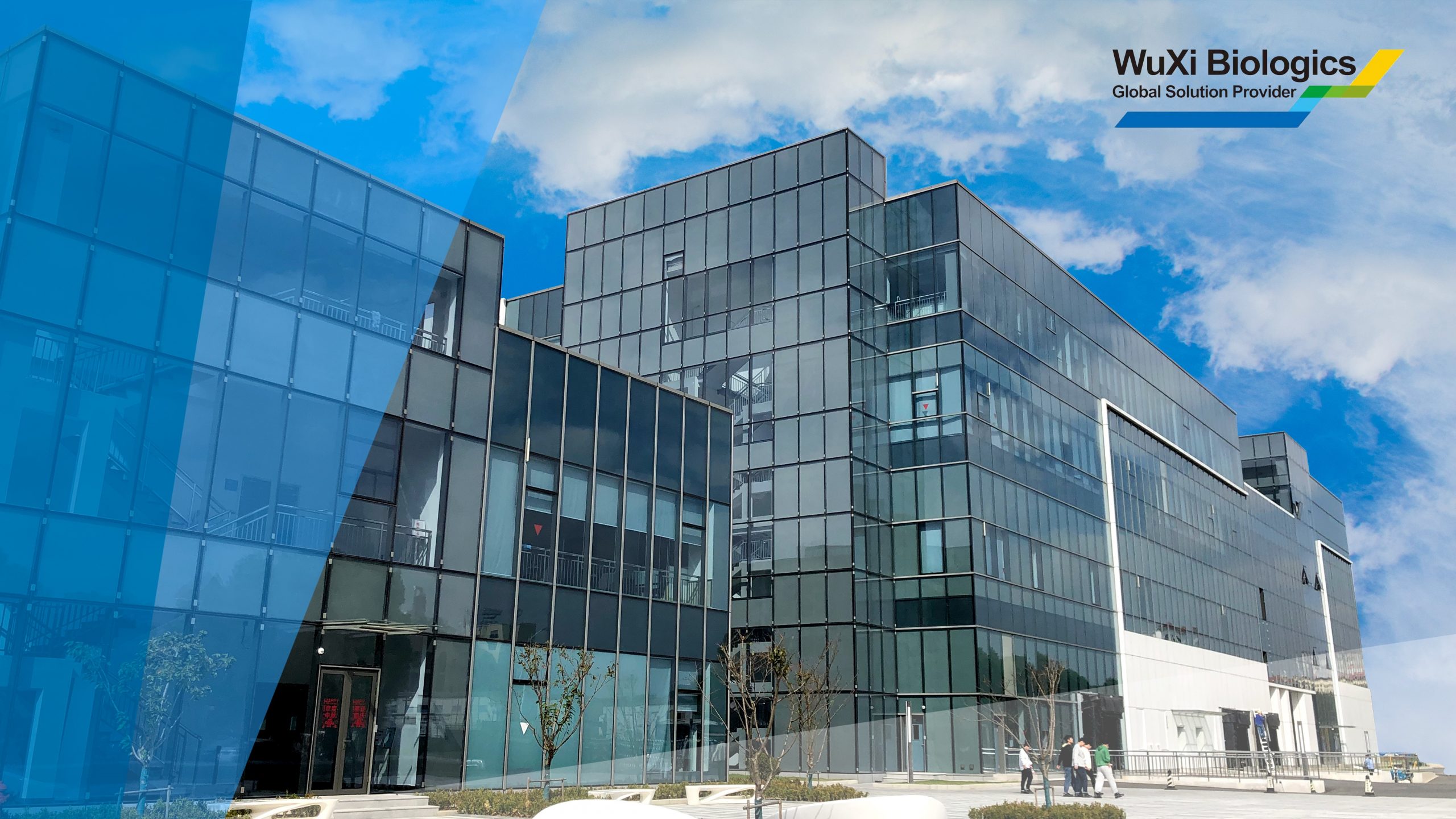 药明生物(02269.HK)成为港股热股：业绩复苏与CXO行业回暖驱动增长