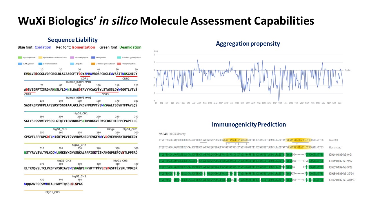 WuXi Biologics in silico molecule assessment