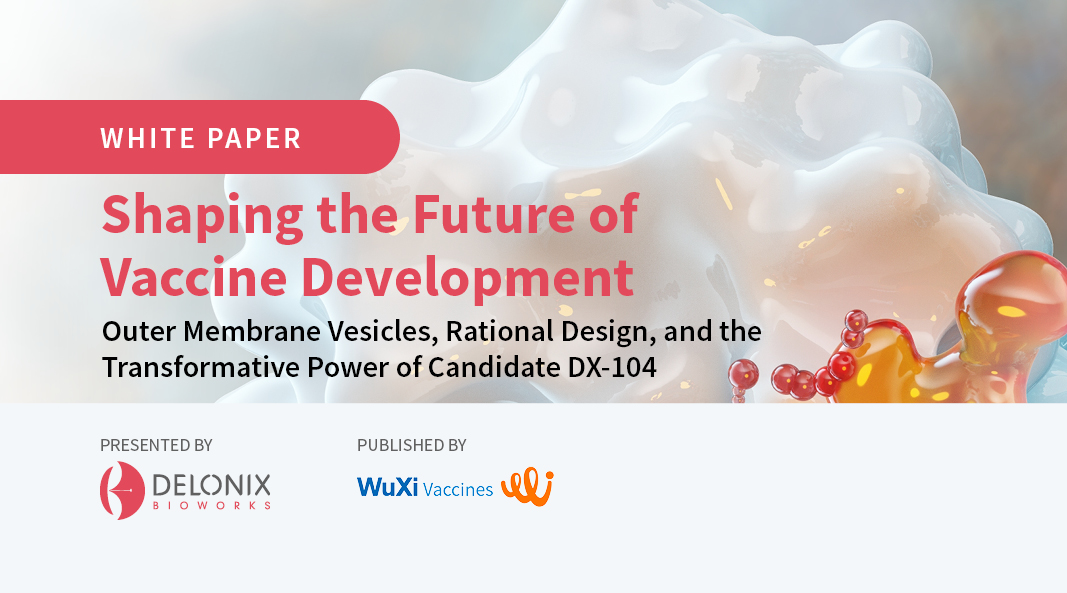 Harnessing the Transformative Power of Outer Membrane Vesicles to Strengthen the Vaccine Response to MenB