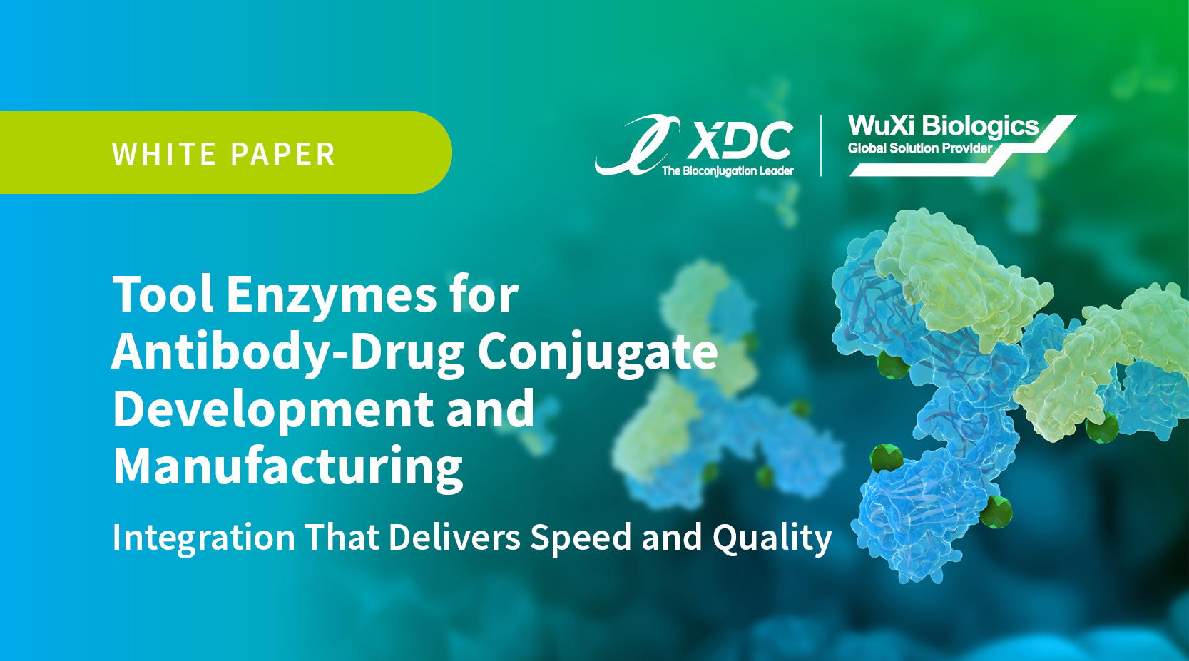 Tool Enzymes Meet Antibody-Drug Conjugates