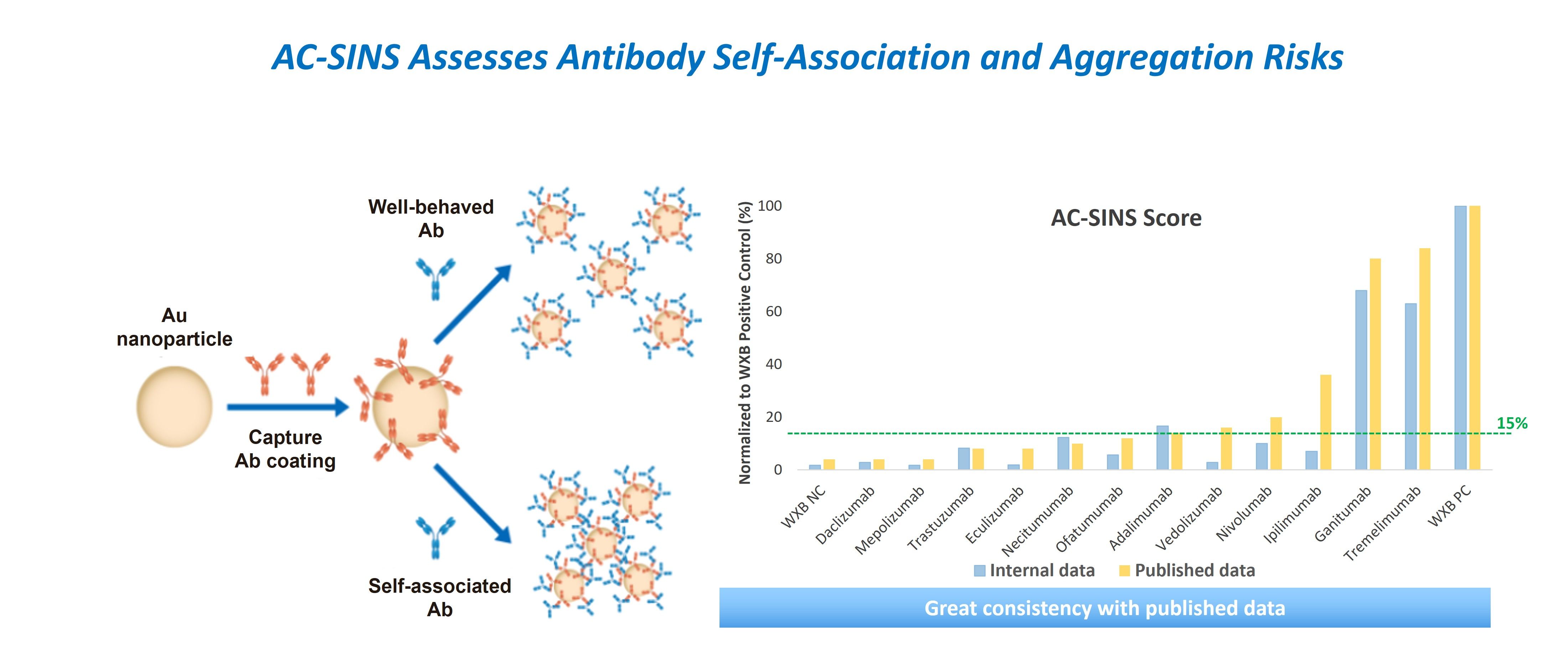 AC-SINS in vitro assay evaluates antibody self-association and aggregation risks using a high-throughput, low-sample workflow to support early risk assessment.