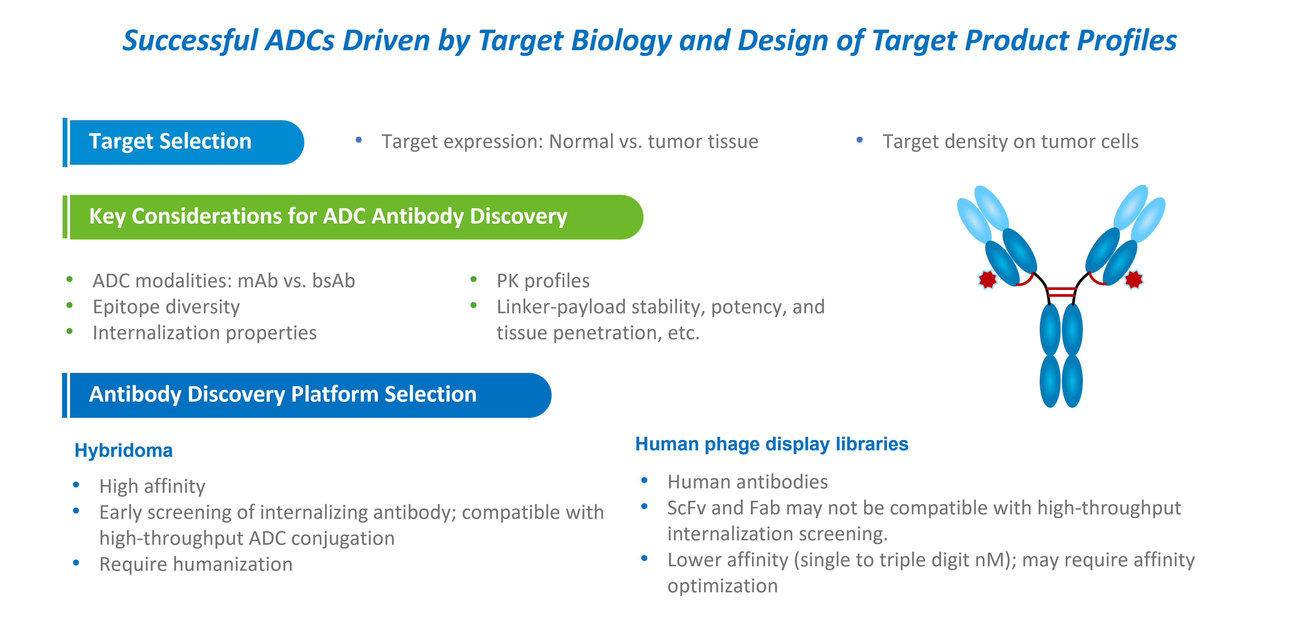 Key considerations in ADC antibody discovery and target selection