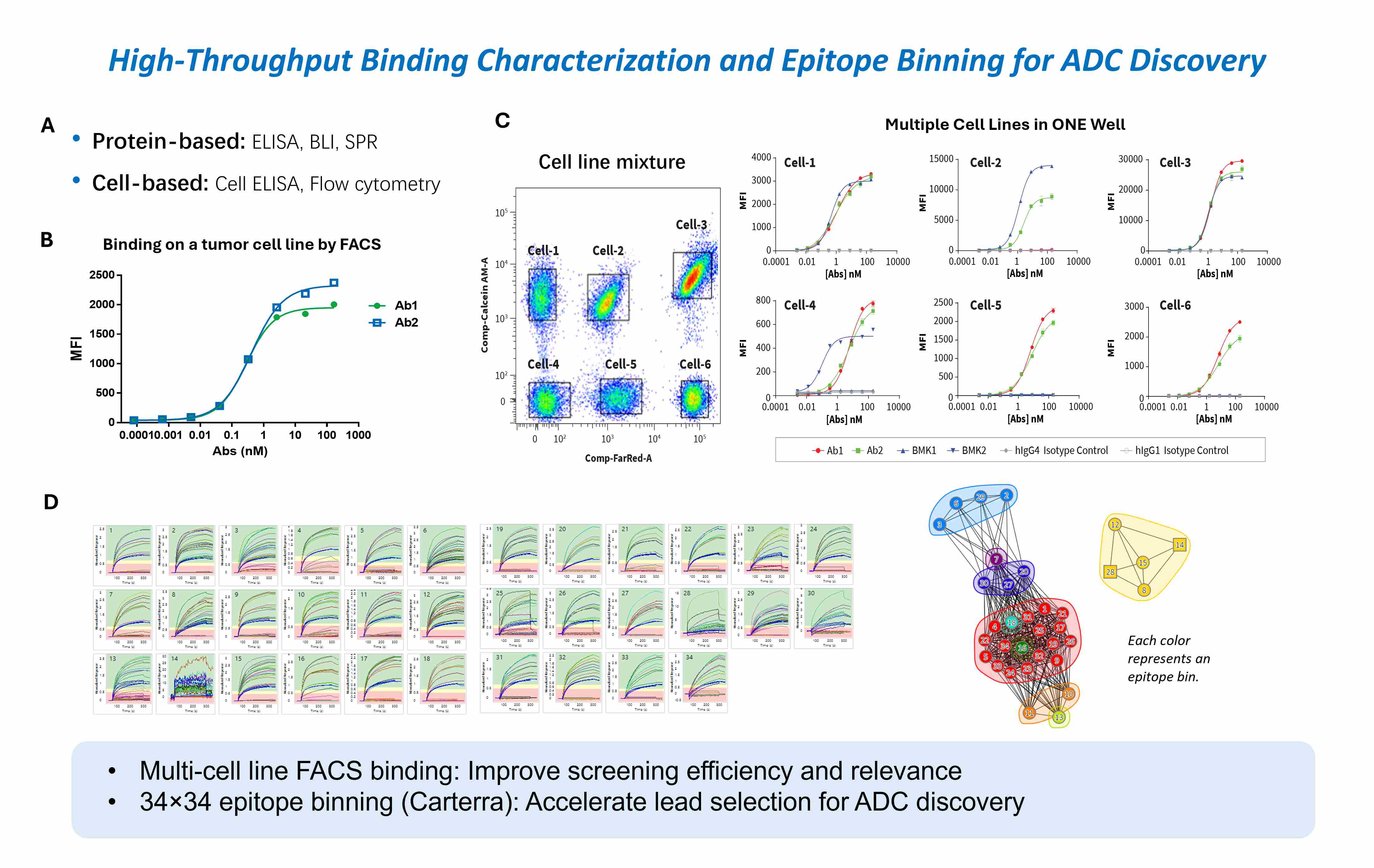 High-throughput ADC binding characterization and epitope binning