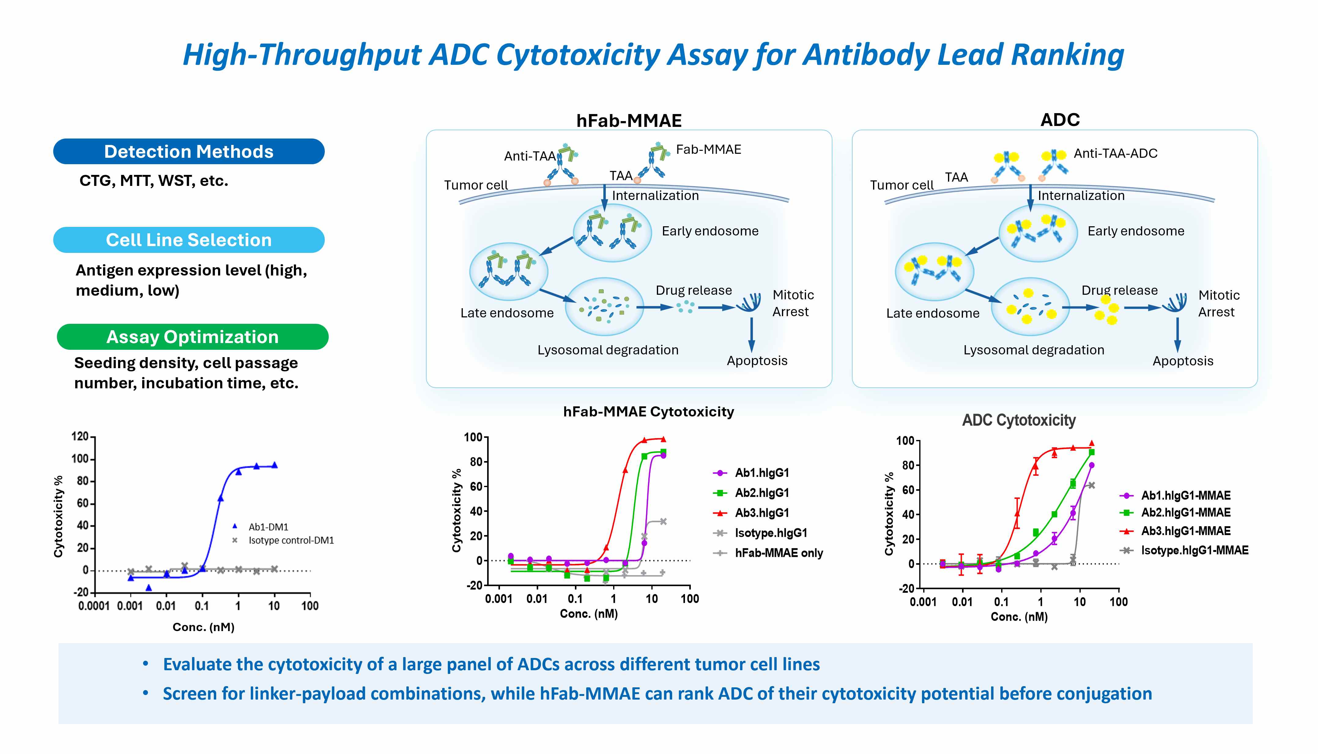 High-throughput ADC cytotoxicity assay for antibody lead ranking