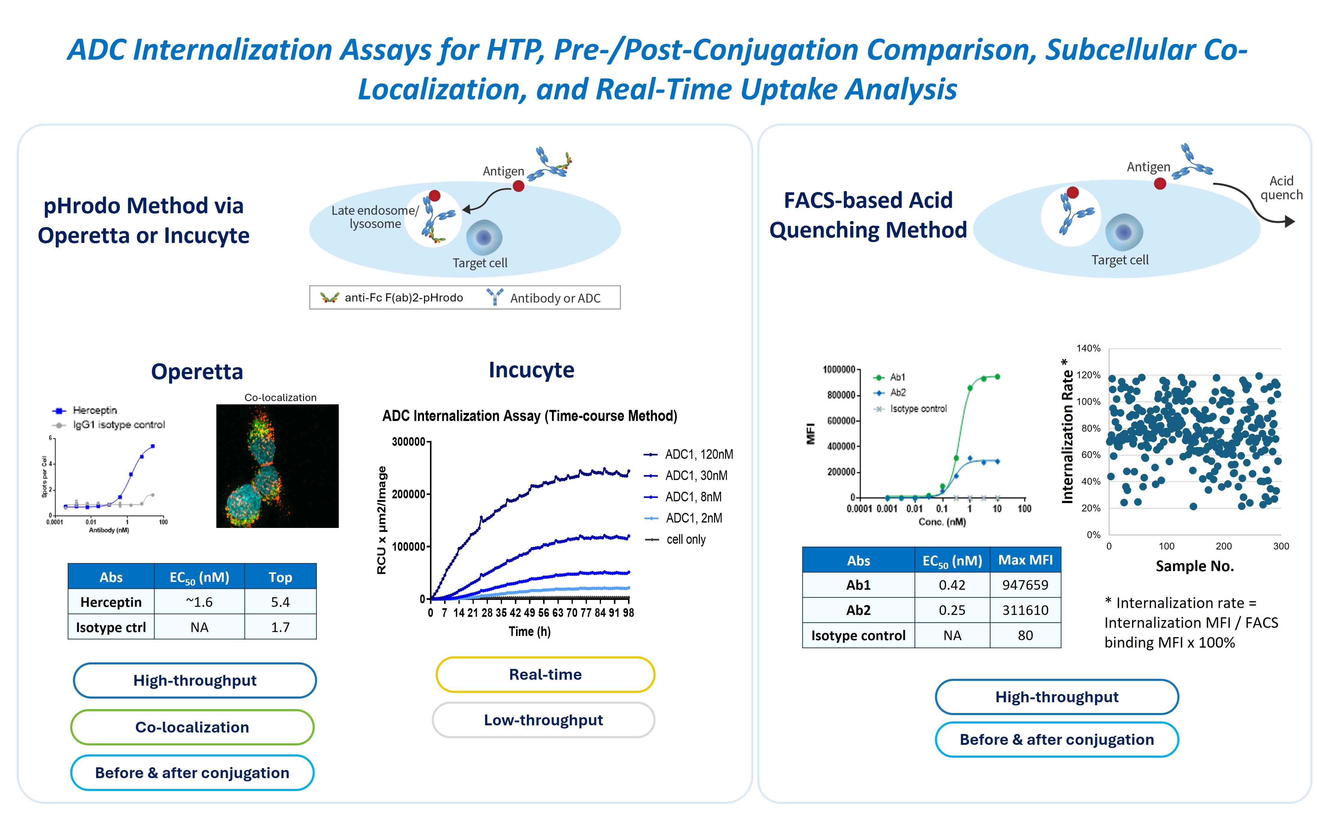 ADC internalization assay for uptake and co-localization analysis