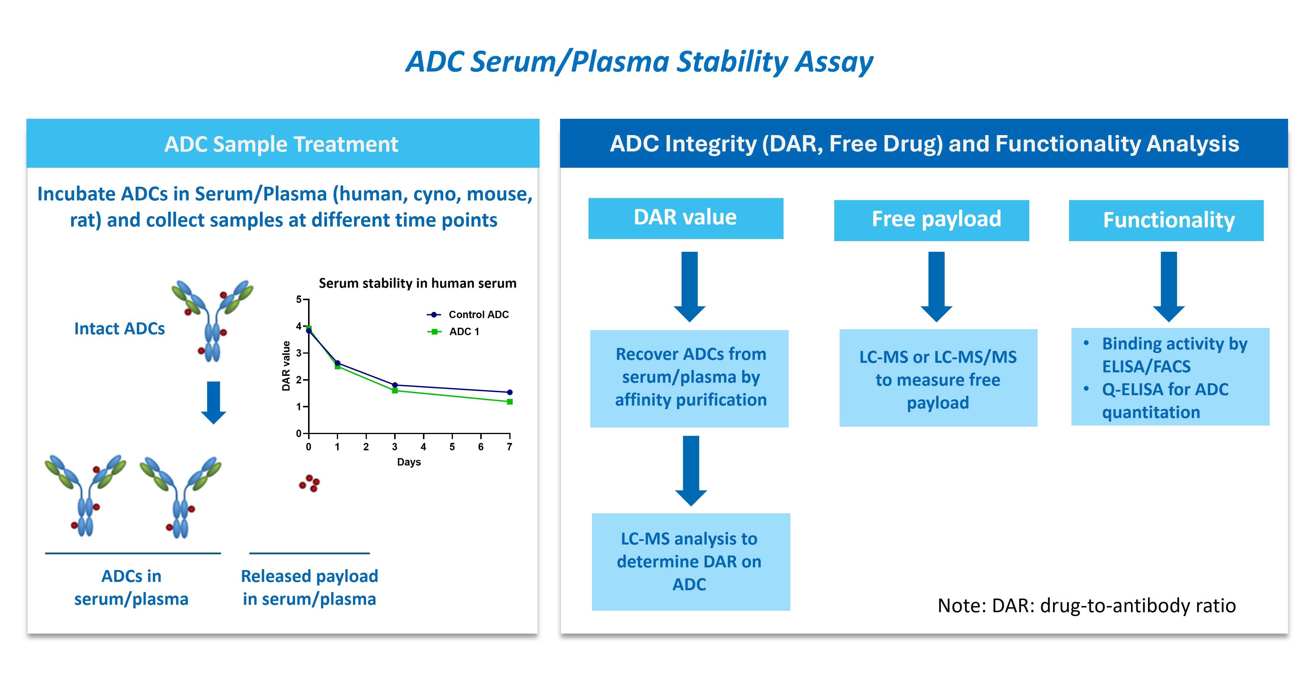 ADC serum and plasma stability assay with DAR and free payload analysis