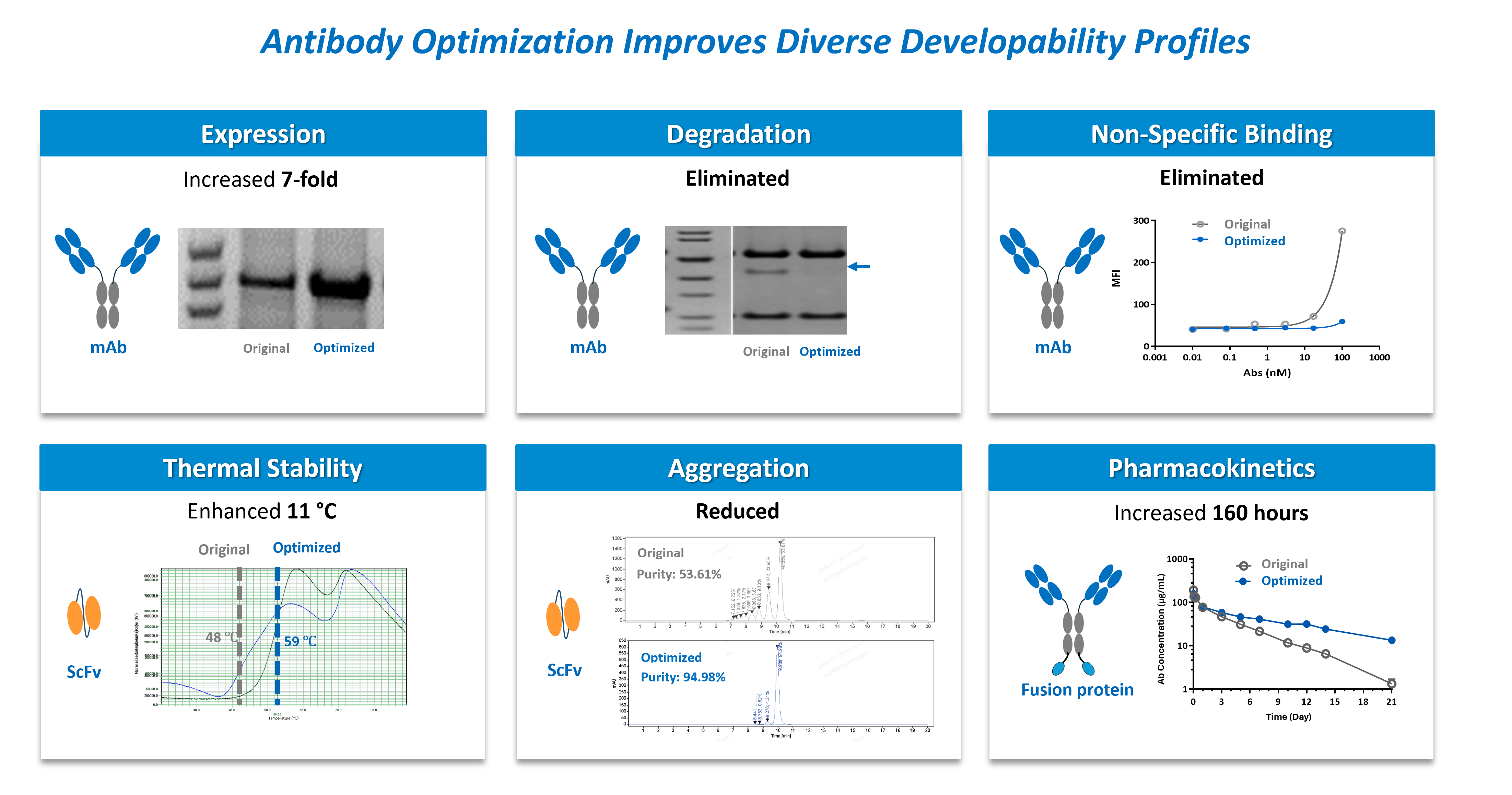Early-stage antibody developability assessment showing improved expression, reduced aggregation and non-specific binding, enhanced thermal stability, and extended PK-related performance.