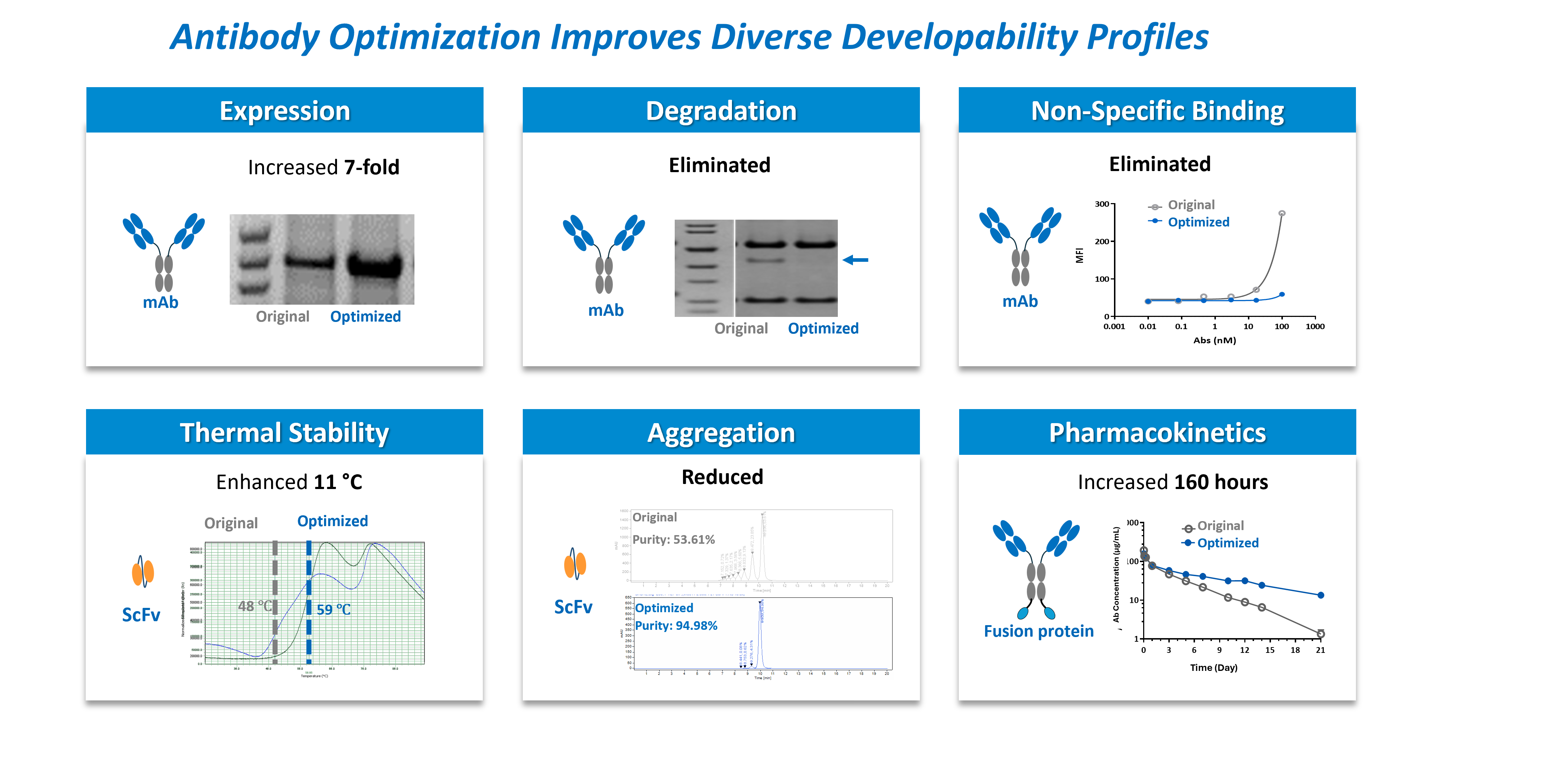 : Early-stage antibody developability assessment showing improved expression, reduced aggregation and non-specific binding, enhanced thermal stability, and extended PK-related performance.