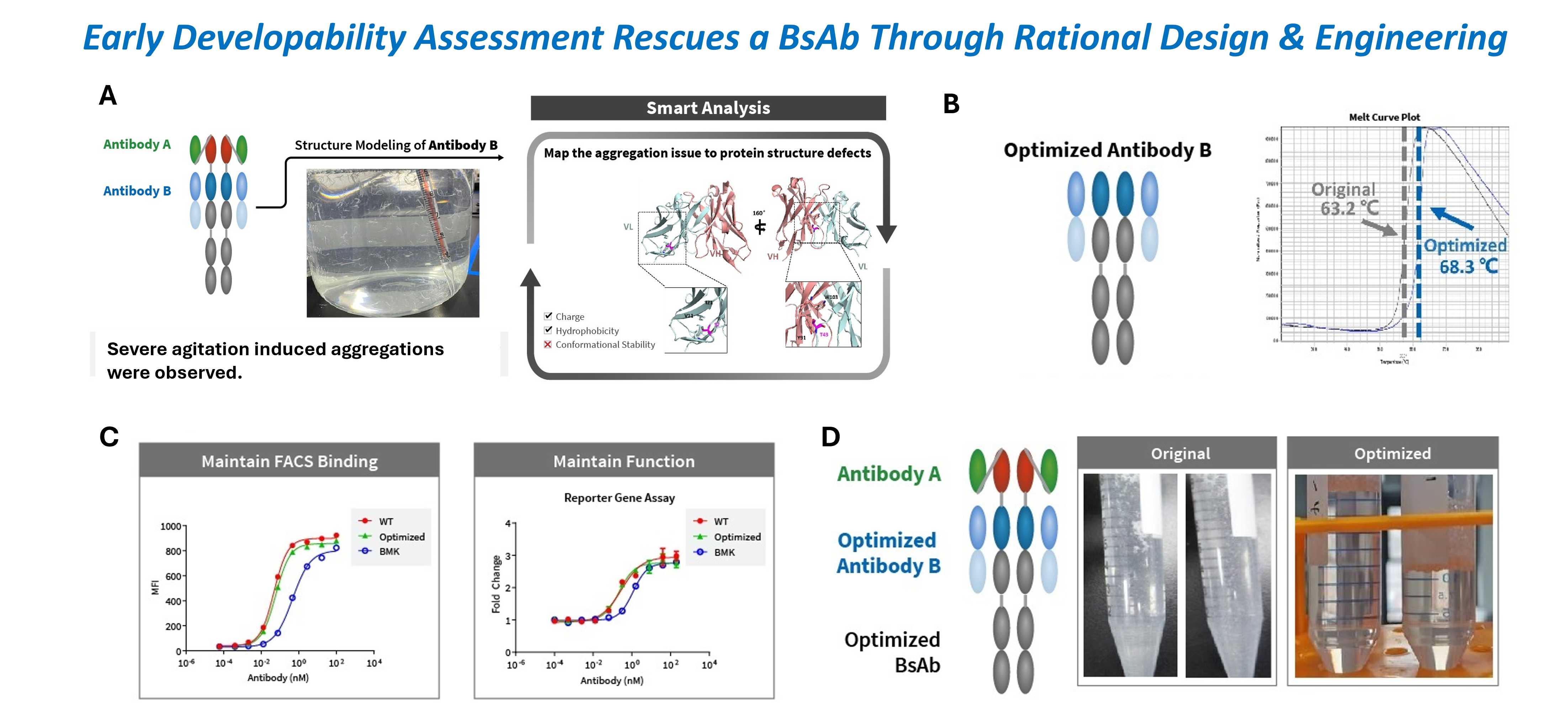 Eliminating Precipitation Through Structure-Guided Bispecific Antibody Engineering