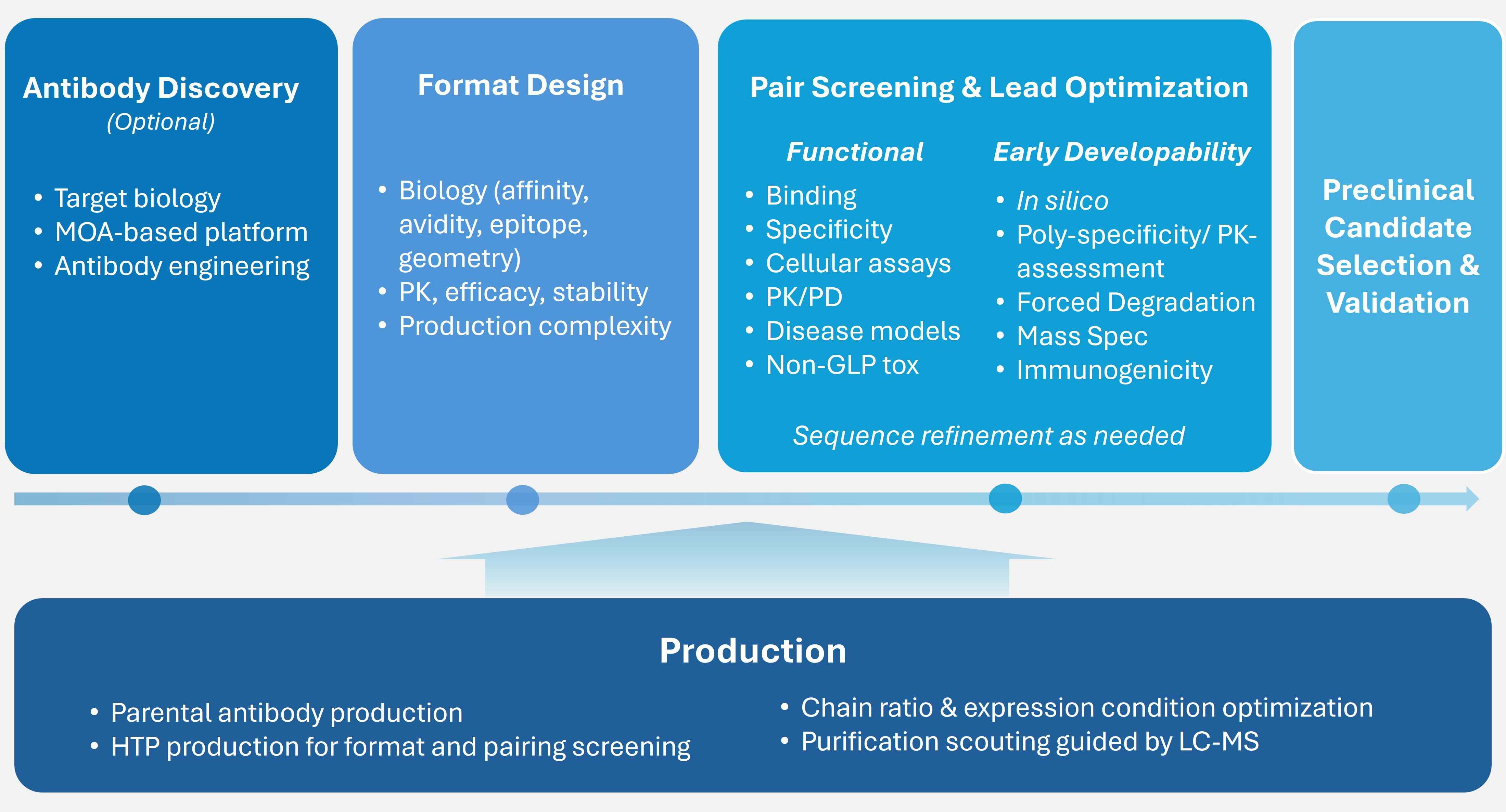 Workflow diagram showing bispecifics discovery from target discovery and molecular engineering to expression, functional evaluation, and lead selection.
