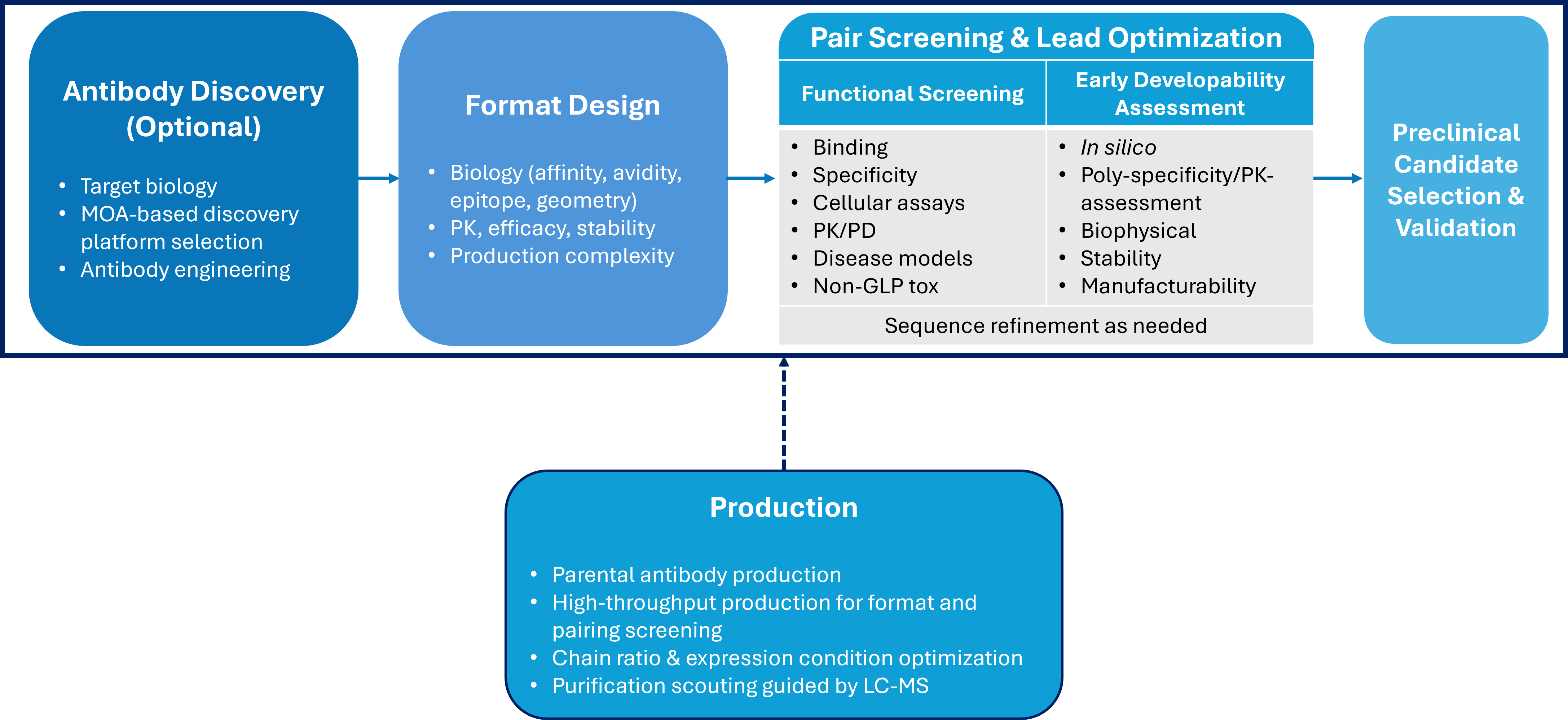 Workflow diagram showing bispecifics discovery from target discovery and molecular engineering to expression, functional evaluation, and lead selection.