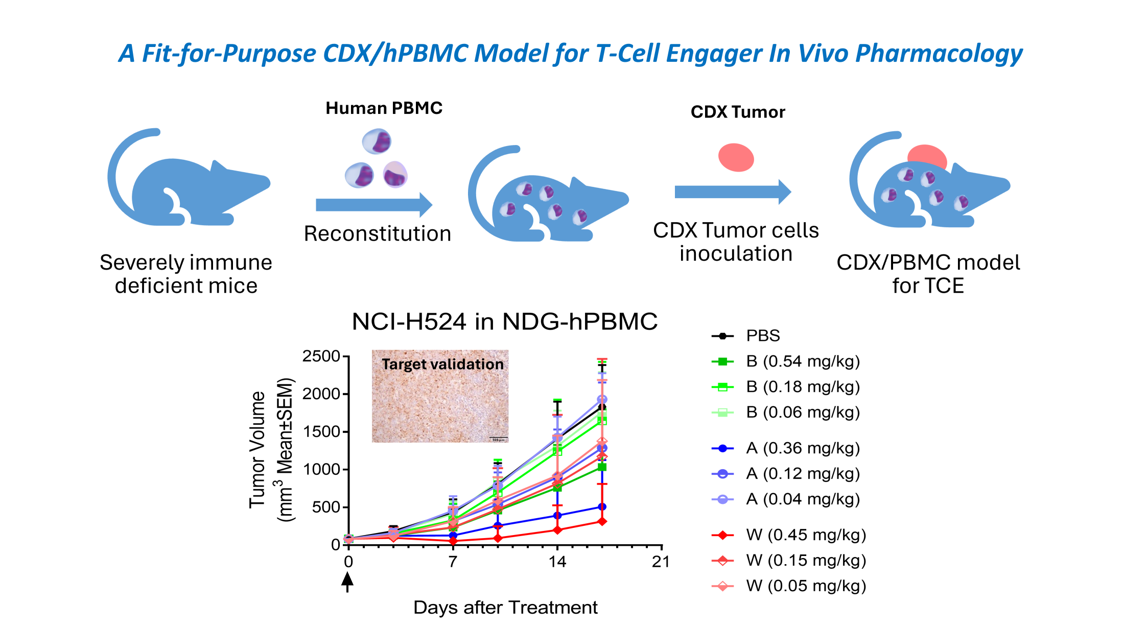 CDX/hPBMC dose-dependent efficacy case study image.